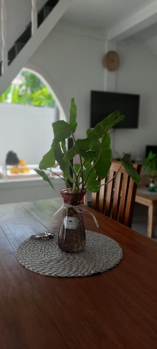 Villa Olivia 세미냑 외부 사진